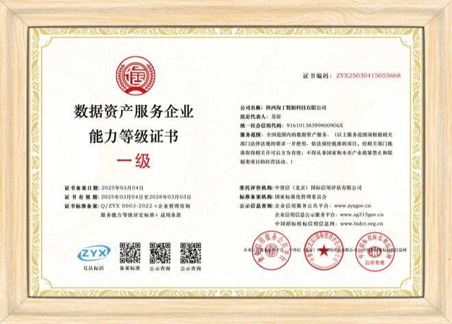 数据资产服务企业能力等级证书(一级)