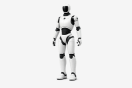 Humanoid robot